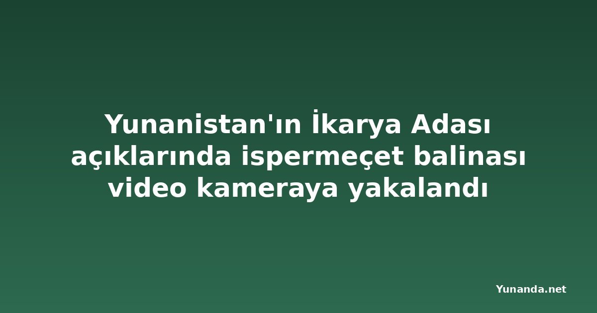 Yunanistan'ın İkarya Adası açıklarında ispermeçet balinası video kameraya yakalandı