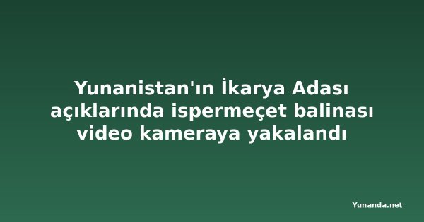 Yunanistan'ın İkarya Adası açıklarında ispermeçet balinası video kameraya yakalandı