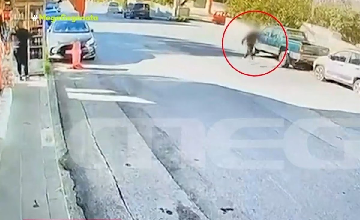 Girit'te tornavidayla eczaneyi soyup taksiyle köyüne giden zanlı, yakalanınca özür diledi
