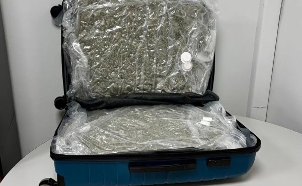 Yunanistan'ın Selanik Havalimanı'nda 18,5 kilo kenevir taşıyan 22 yaşındaki kadın gözaltına alındı