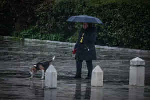 Yunanistan'da sağanak ve fırtına: Sofiko'da 133, Elliniko'da 104 milimetre yağış