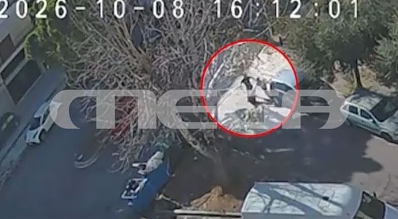 Elefsina'da 32 yaşındaki antifaşiste bıçaklı saldırı: 18 ve 22 yaşındaki iki sanık cezaevine gönderildi